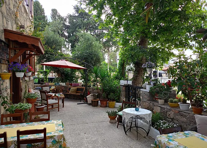 Yuekser 3* Σιντέ