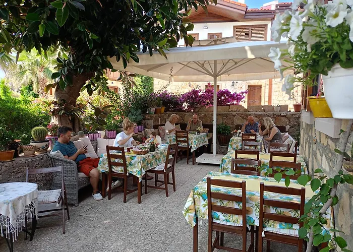 Yuekser 3* Σιντέ