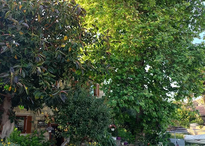 Konukevi Yükser Side