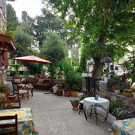 Yuekser 3* Σιντέ