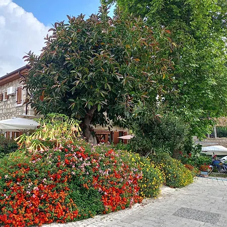 Πανσιόν Yuekser