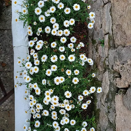 Yuekser 3* Σιντέ