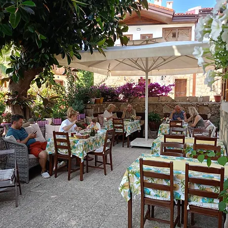 Yuekser 3* Σιντέ